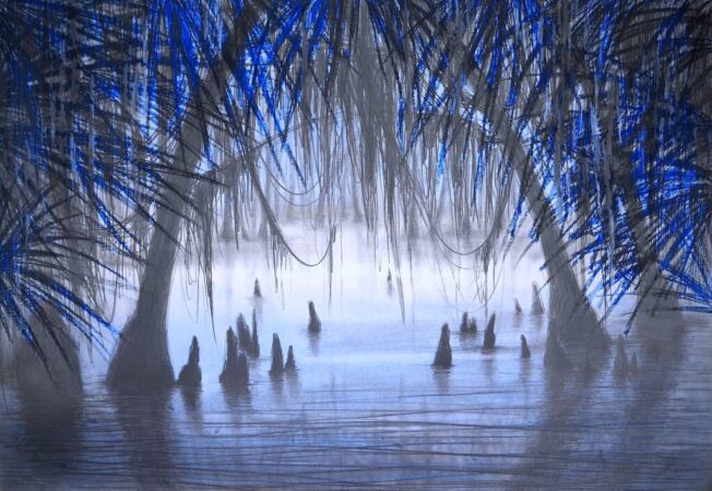 Louisiana blue Louisiana blue